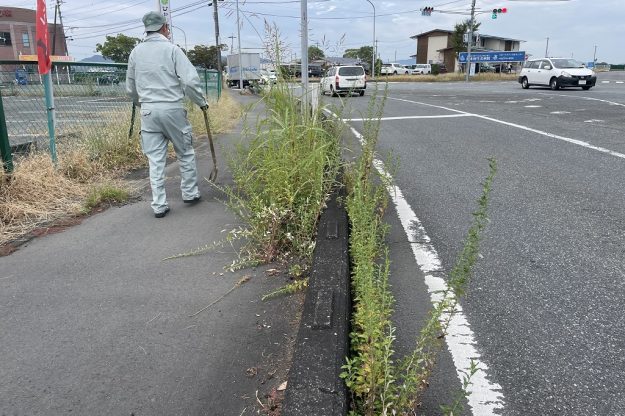 コラム：サムネイル画像