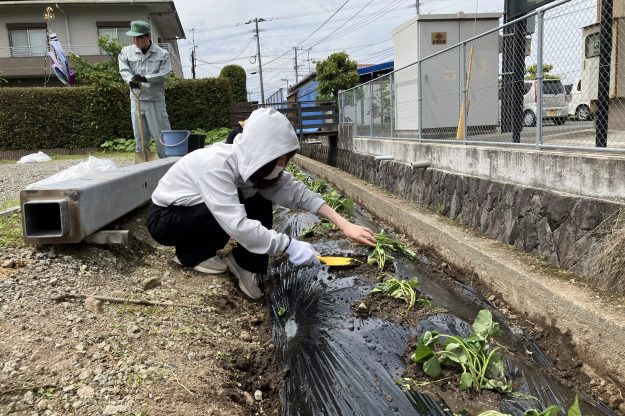 コラム：サムネイル画像