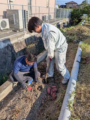 コラム：サムネイル画像